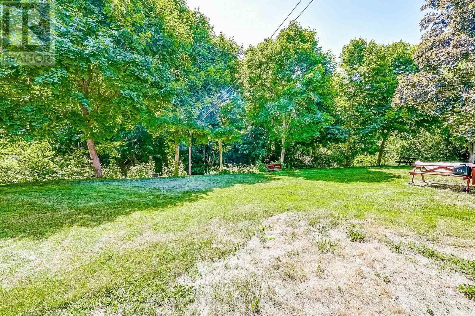 25 KING STREET E — Cavan Monaghan (Millbrook Village), Ontario - Main photo