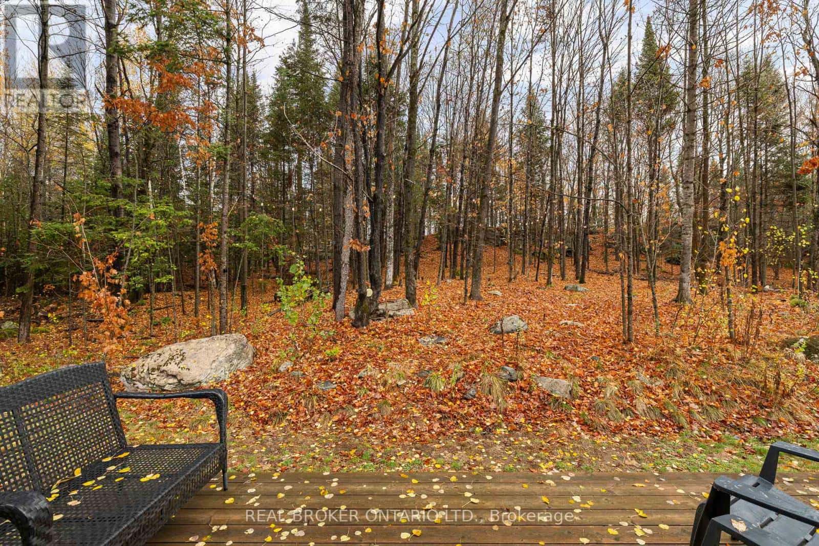 1402 QUEENS LINE ROAD — Minden Hills (Minden), Ontario - Photo 4 of 37