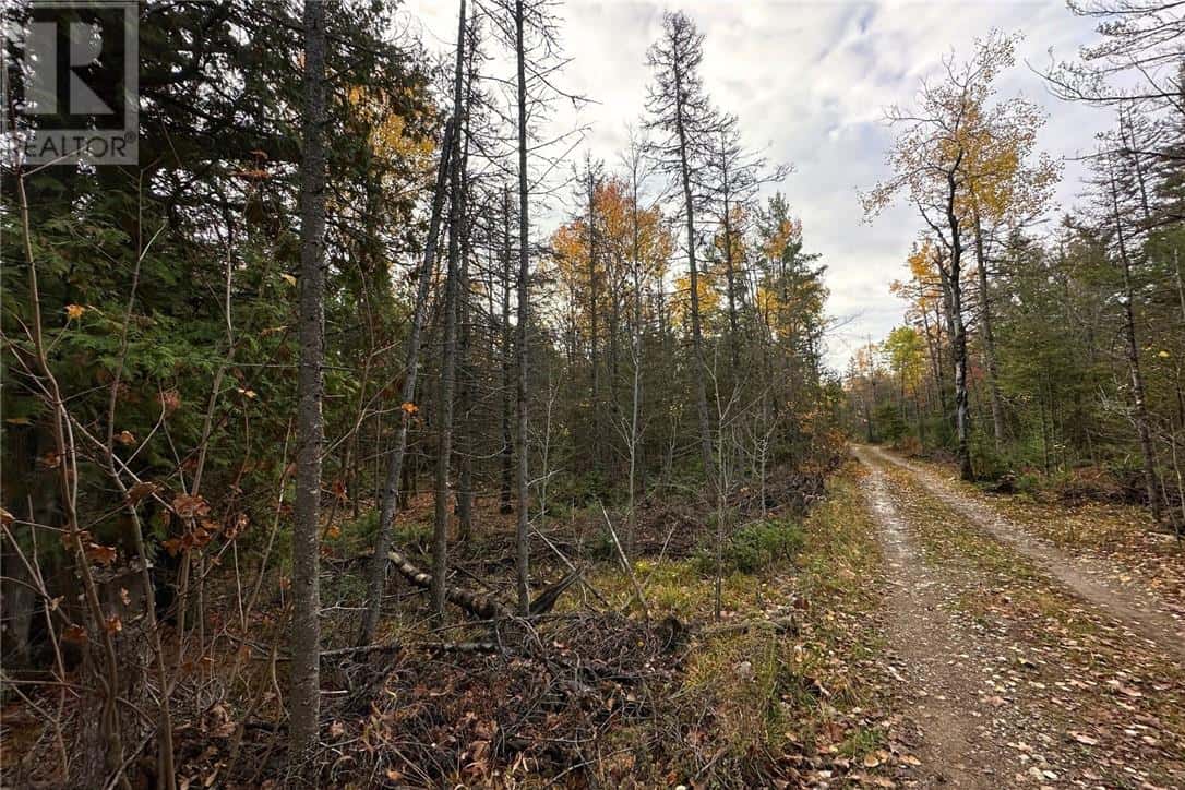 PT LT 16 Con 4 Green Bush Road — Little Current, Ontario - Photo 3 of 14