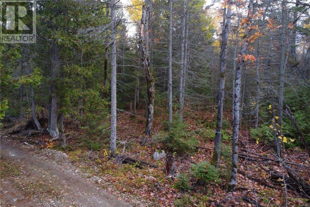 PT LT 16 Con 4 Green Bush Road — Little Current, Ontario - Photo 5 of 14