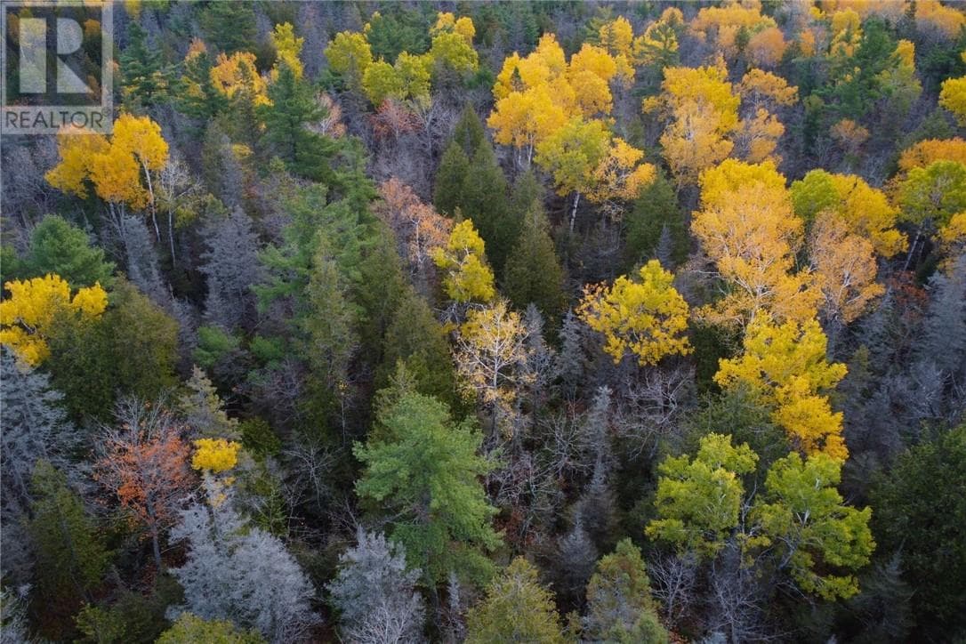 PT LT 16 Con 4 Green Bush Road — Little Current, Ontario - Main photo
