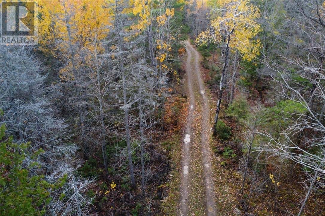 PT LT 16 Con 4 Green Bush Road — Little Current, Ontario - Photo 2 of 14