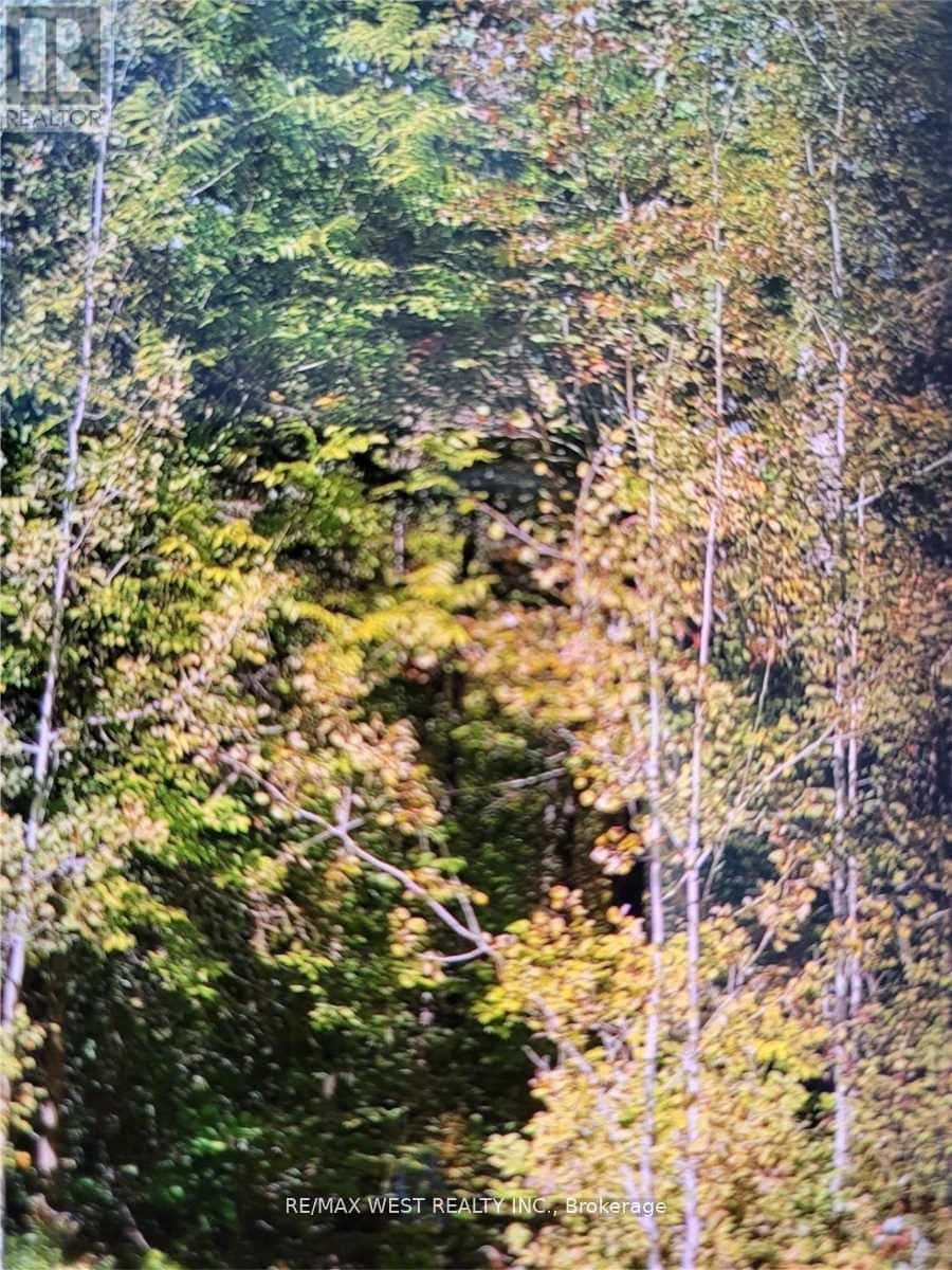 250-400 LAKE ROAD — St. Charles, Ontario - Photo 2 of 3