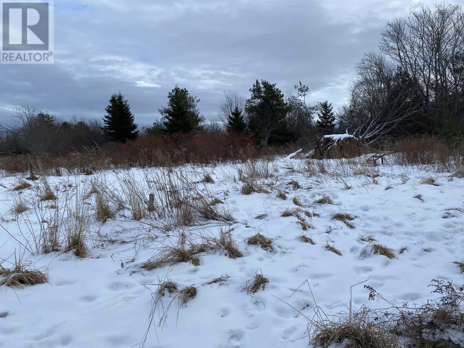 Lot 234 Wellington Street — Pictou, Nova Scotia - Photo 2 of 6