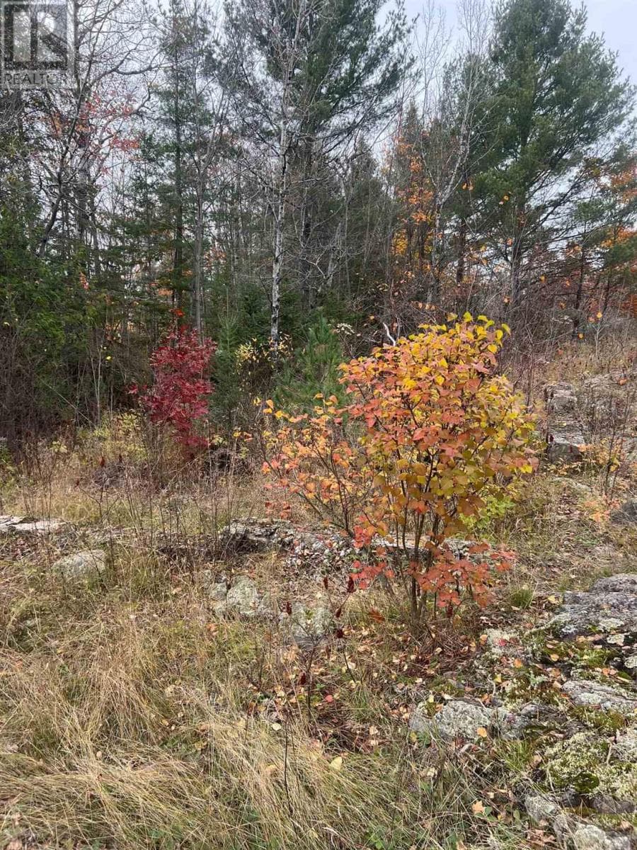 105 ROBB RD — BLIND RIVER, Ontario - Main photo