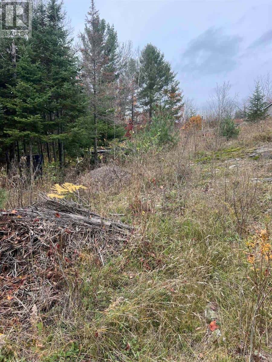 105 ROBB RD — BLIND RIVER, Ontario - Photo 2 of 4