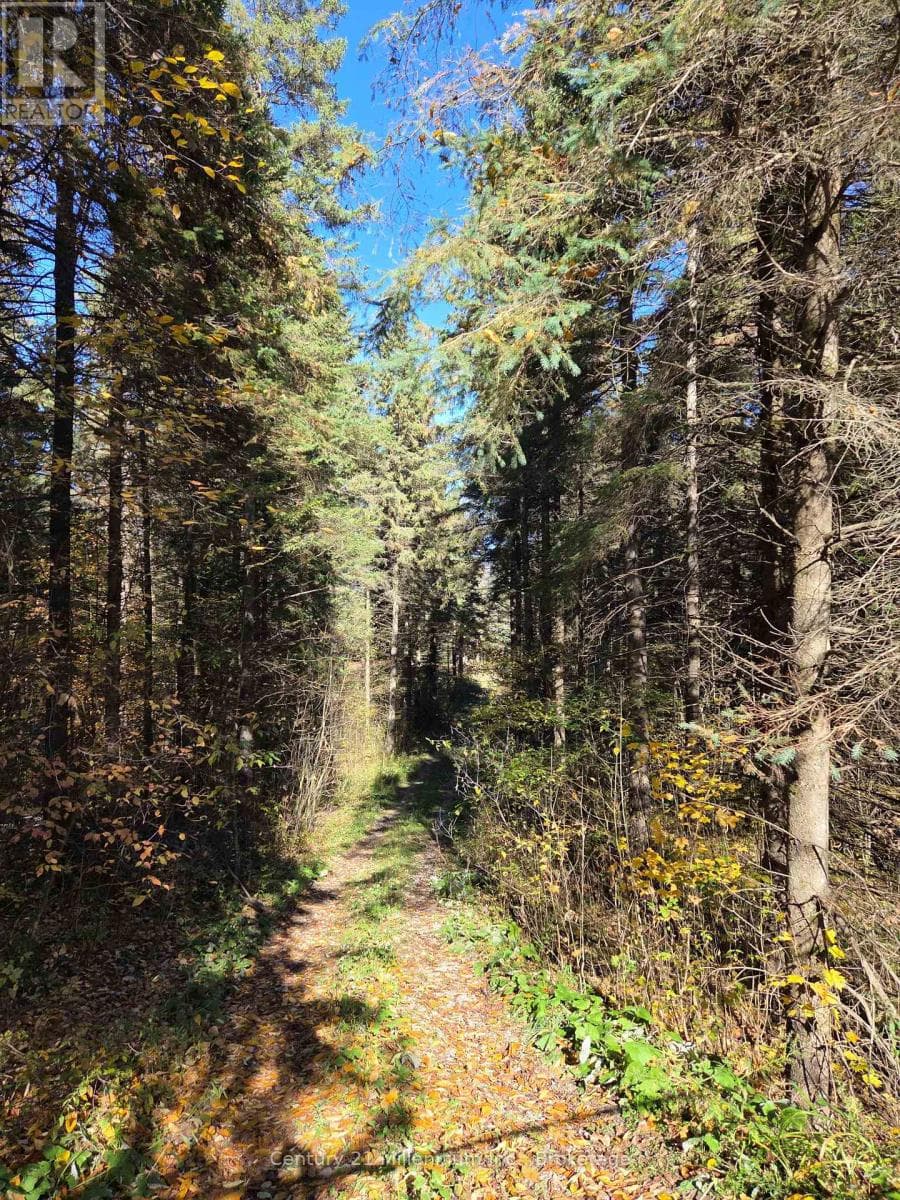 627383 15 SIDE ROAD — Mulmur, Ontario - Main photo