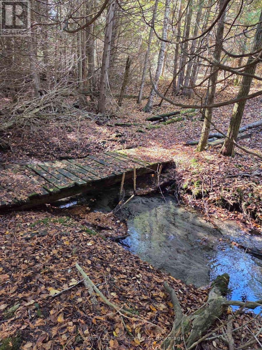 627383 15 SIDE ROAD — Mulmur, Ontario - Photo 4 of 9