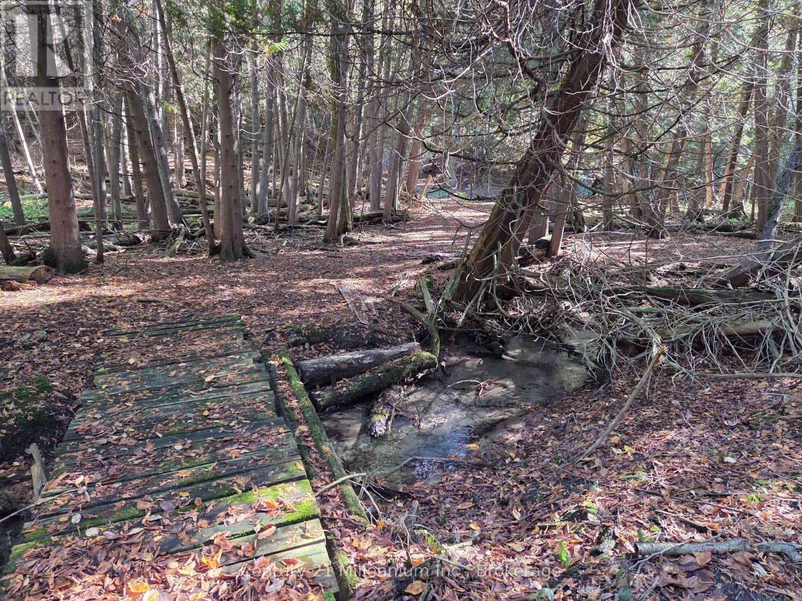 627383 15 SIDE ROAD — Mulmur, Ontario - Photo 5 of 9