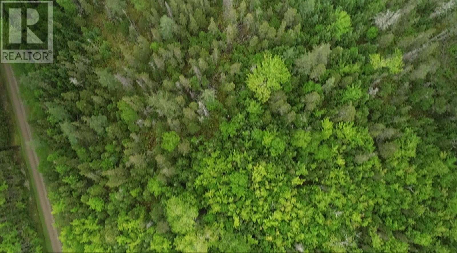 41A Widow Point Loop — Inverness, Nova Scotia - Main photo