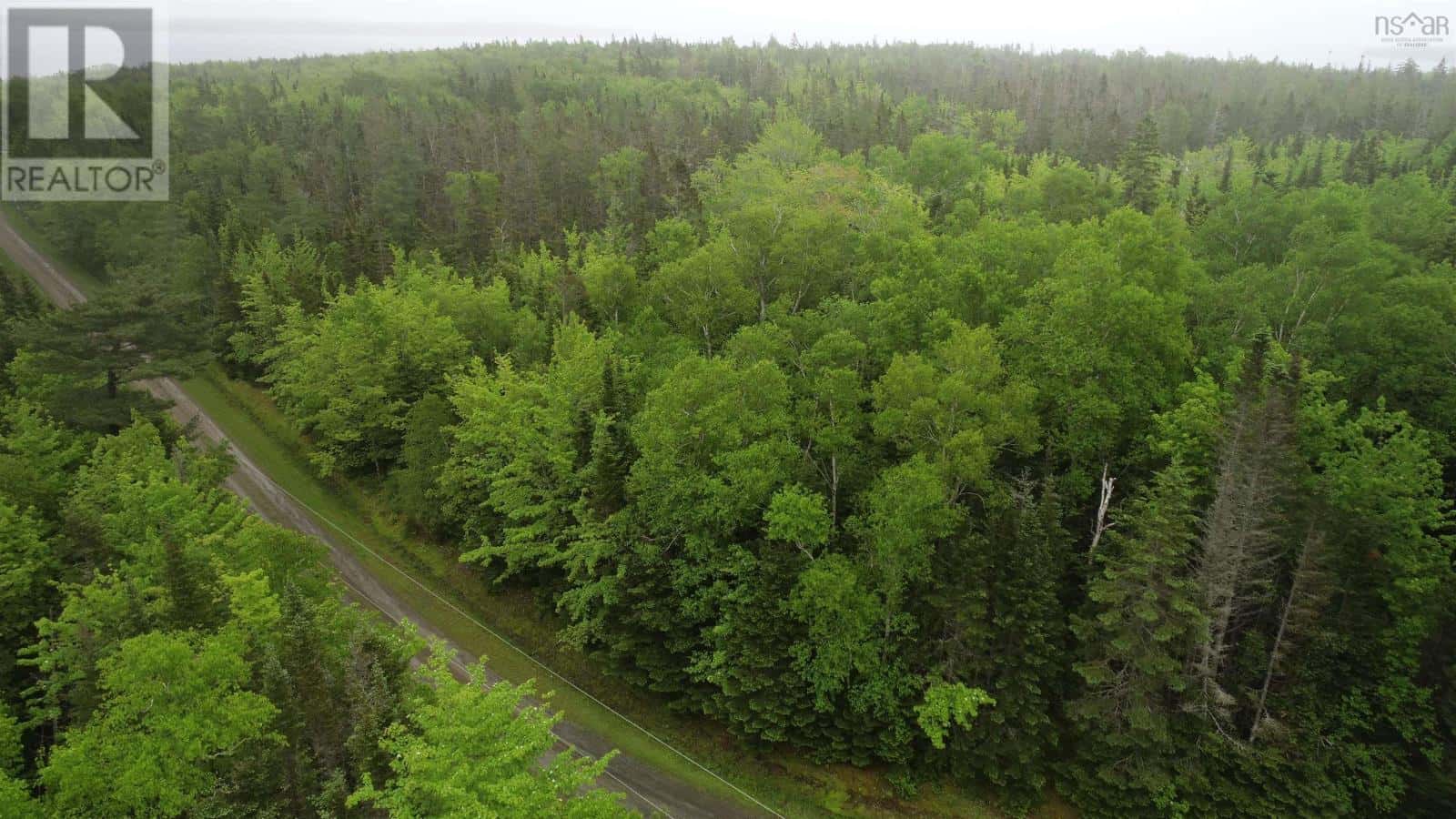 41A Widow Point Loop — Inverness, Nova Scotia - Photo 5 of 24