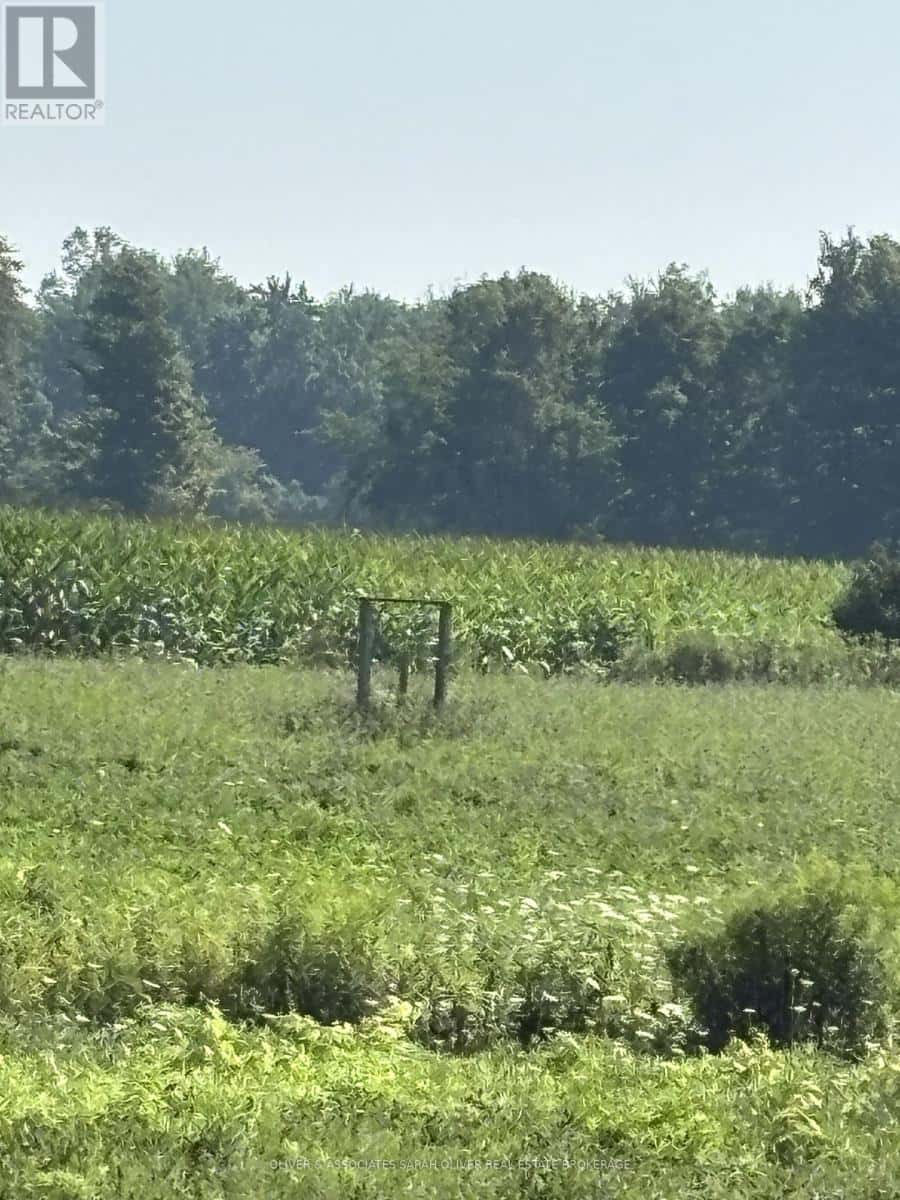 4688 GODBY ROAD — Bayham, Ontario - Photo 4 of 8