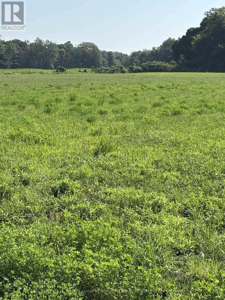 4688 GODBY ROAD — Bayham, Ontario - Photo 5 of 8