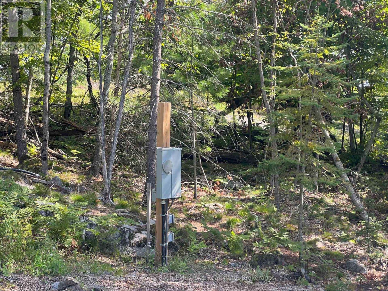 27 ALVES ROAD — Carling, Ontario - Photo 4 of 15