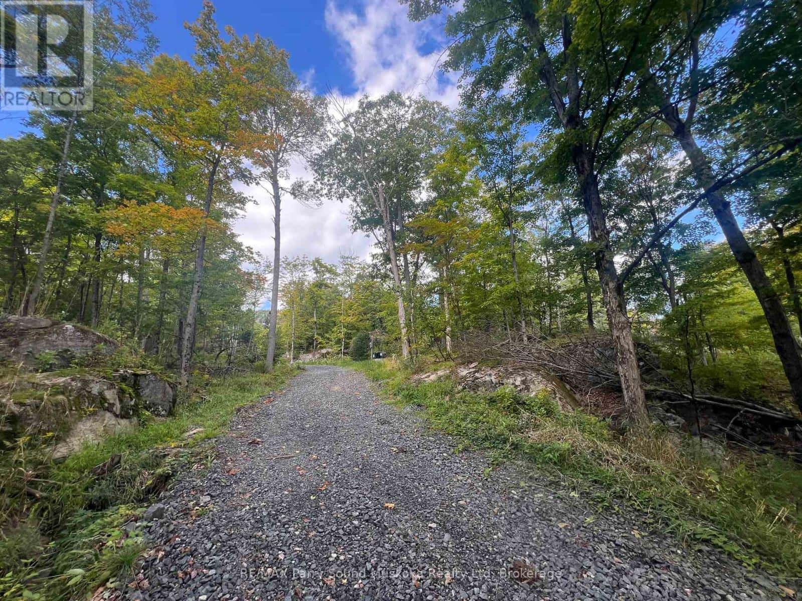 27 ALVES ROAD — Carling, Ontario - Photo 5 of 15