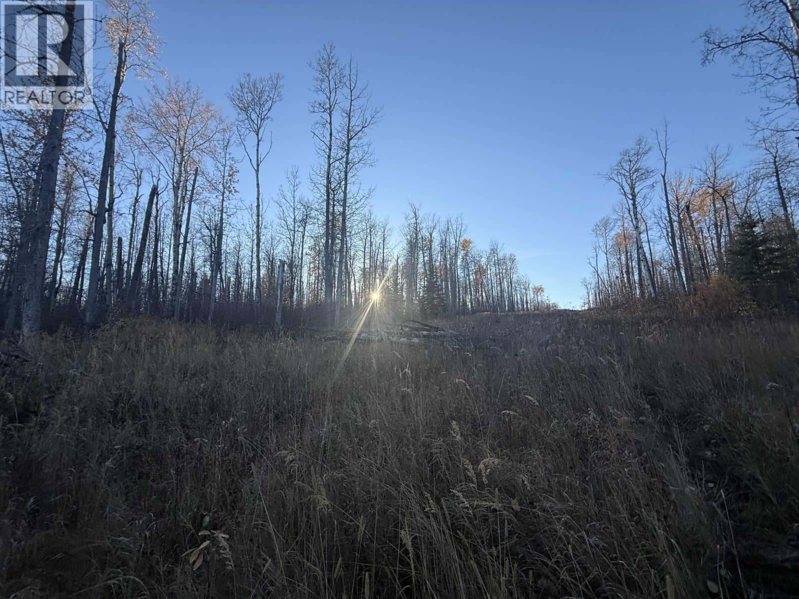 279 ROAD — Charlie Lake, British Columbia - Photo 3 of 20