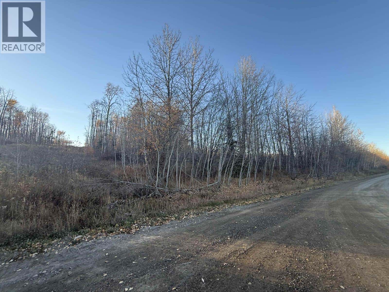 279 ROAD — Charlie Lake, British Columbia - Photo 4 of 20