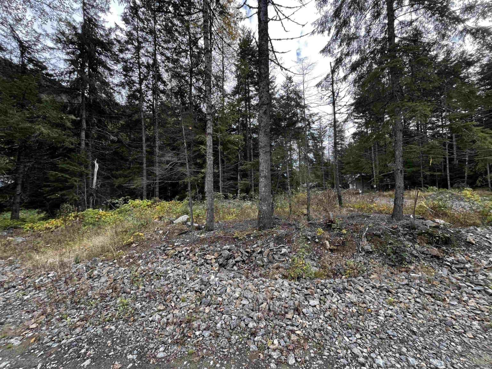 SVE23 OLD HOPE PRINCETON HIGHWAY, Sunshine Valley — Sunshine Valley, British Columbia - Photo 5 of 24