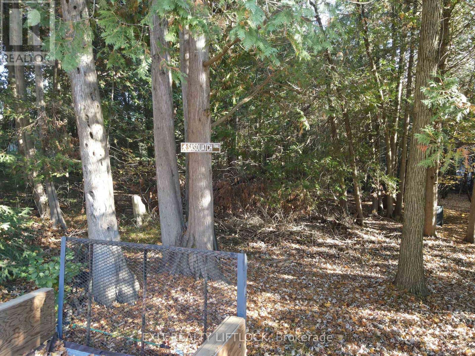 1430 DRYSDALE ROAD — Asphodel-Norwood, Ontario - Photo 5 of 32