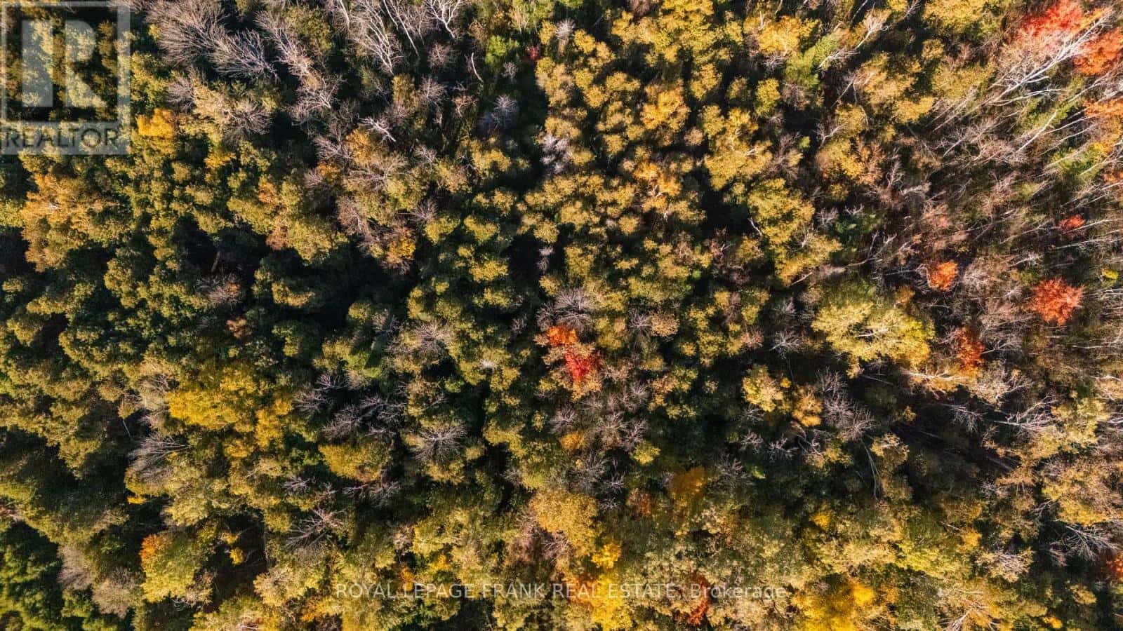 740 MOUNT HOREB ROAD — Kawartha Lakes (Manvers), Ontario - Photo 3 of 9