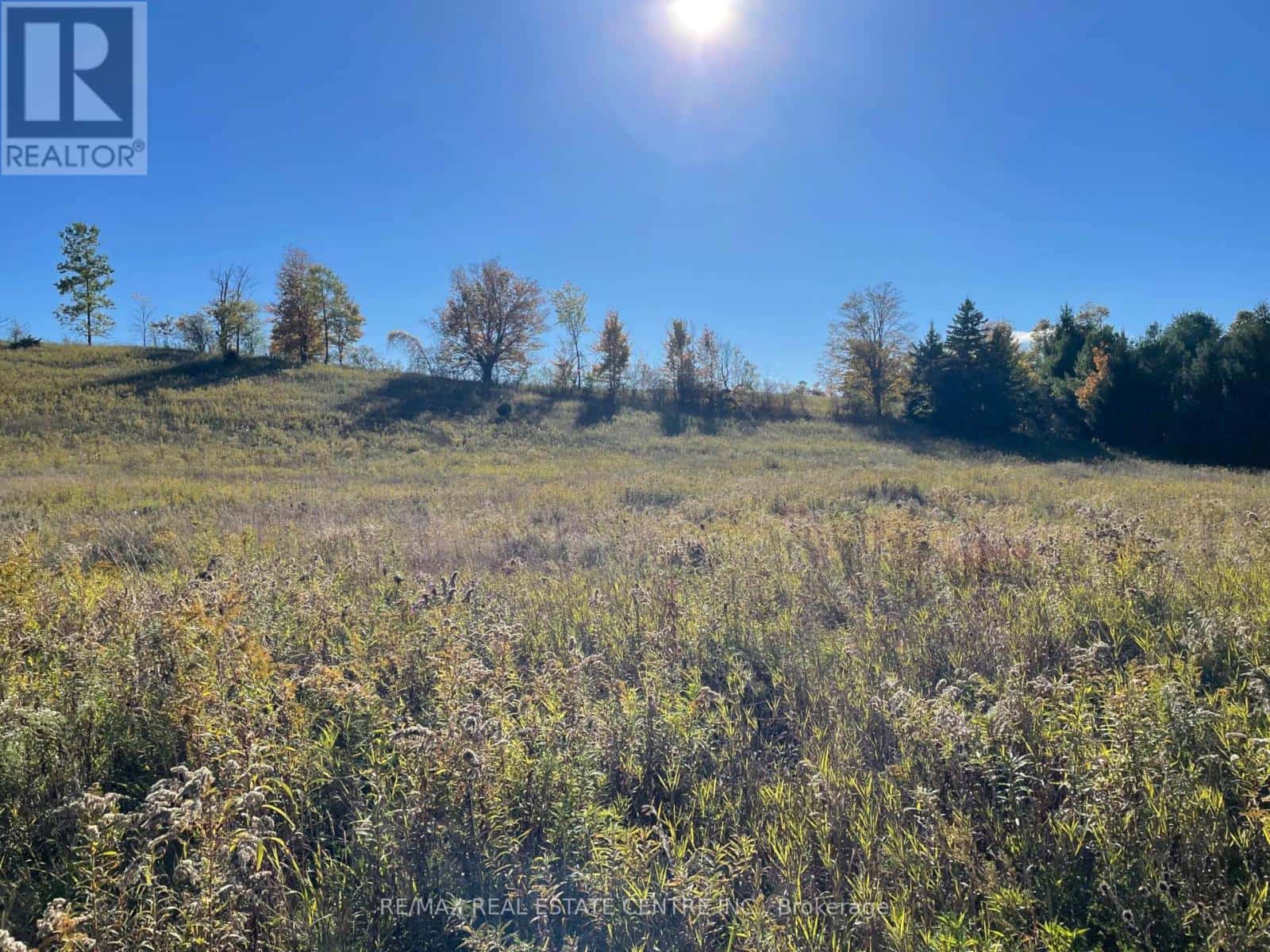 13062 Nassagaweya Esquesi Townline