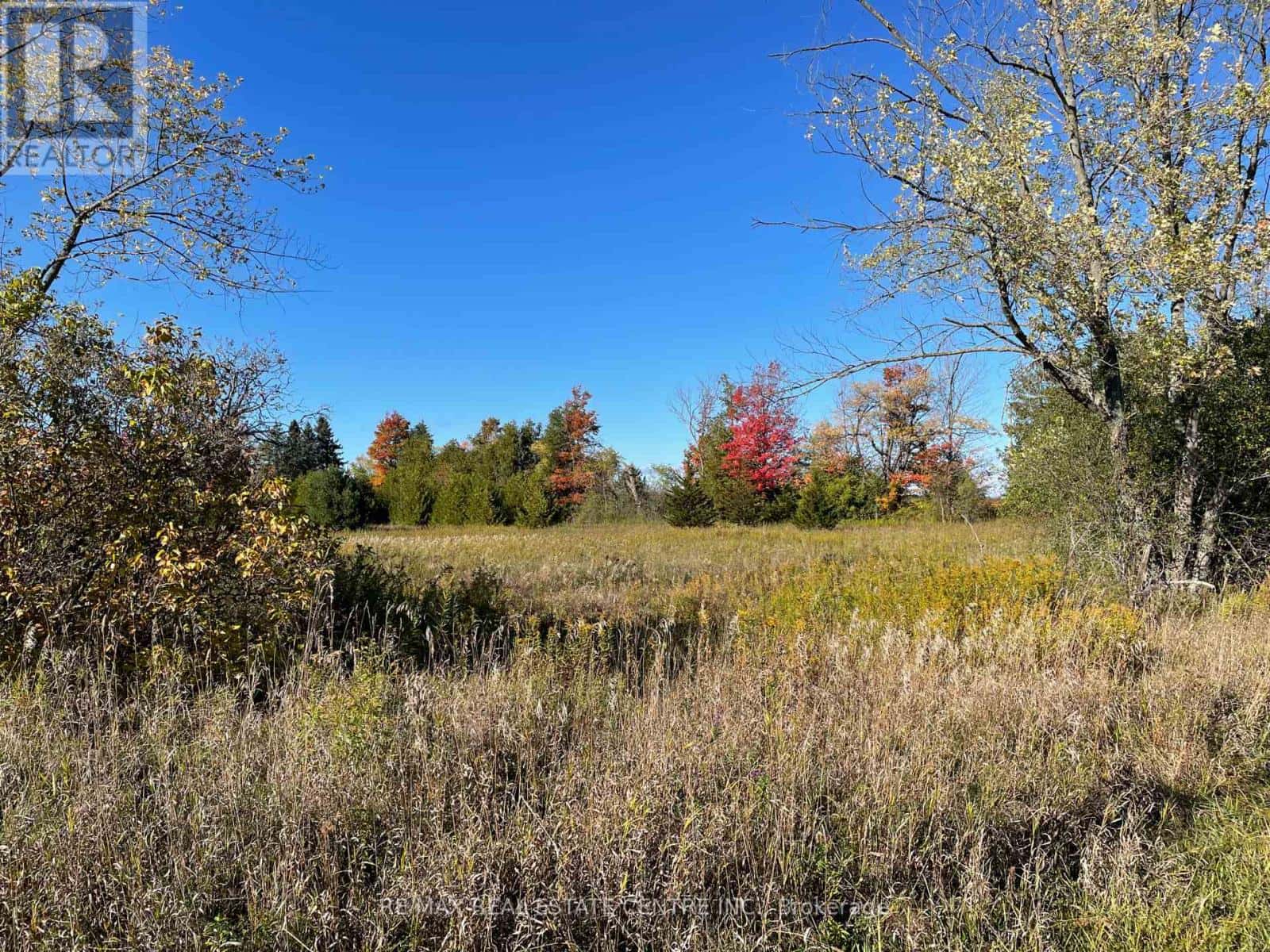 13062 NASSAGAWEYA ESQUESI TOWNLINE — Milton (NA Rural Nassagaweya), Ontario - Photo 5 of 11