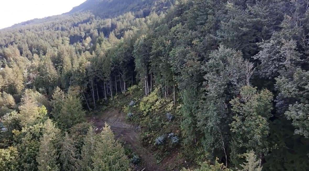 41768 BOWMAN ROAD, Vedder Mountain — Yarrow, British Columbia - Photo 4 of 14