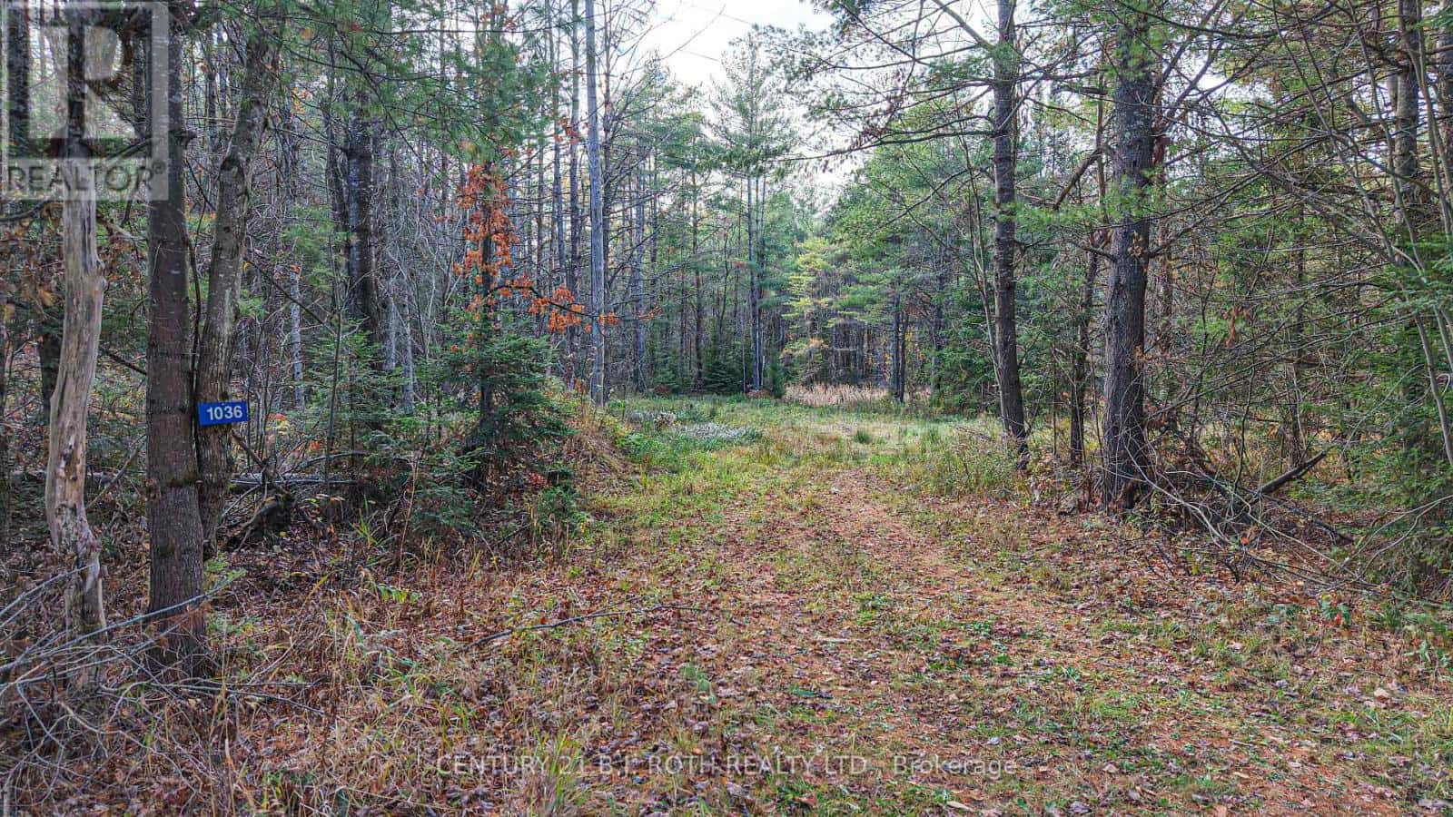 1036 HOPKINS ROAD — Gravenhurst (Ryde), Ontario - Photo 5 of 19