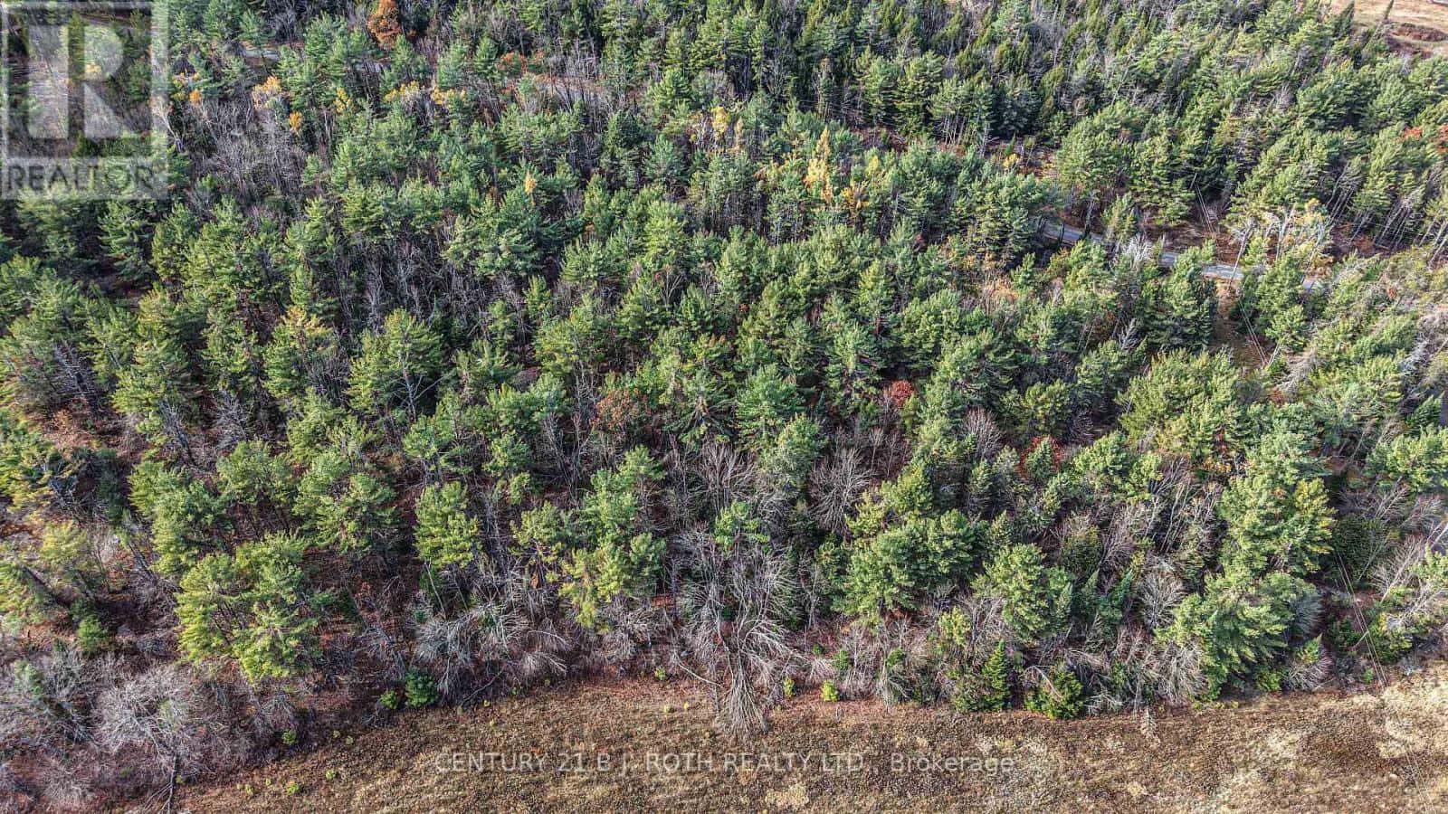 1036 HOPKINS ROAD — Gravenhurst (Ryde), Ontario - Photo 4 of 19