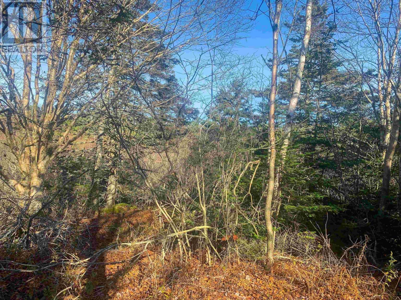 Lot C. Boudreau Road — Mavillette, Nova Scotia - Photo 4 of 12