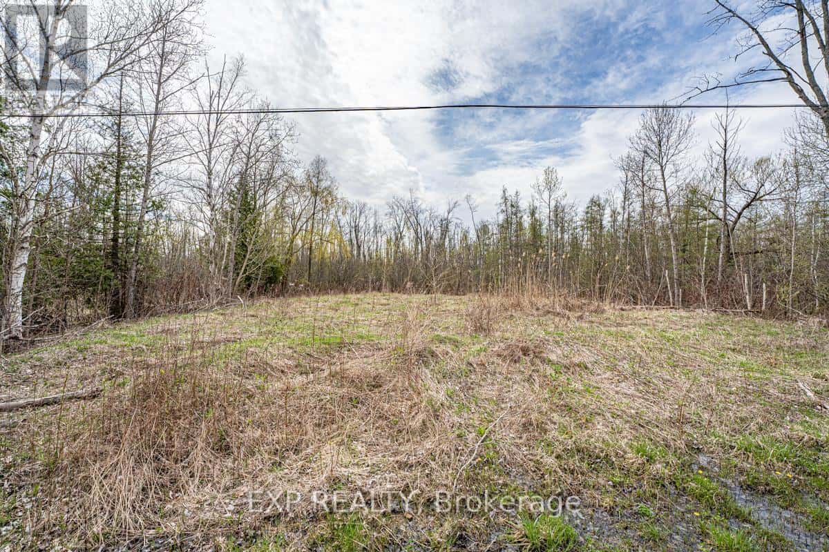 LOT 11 DONNA DRIVE — Georgina (Pefferlaw), Ontario - Photo 5 of 12