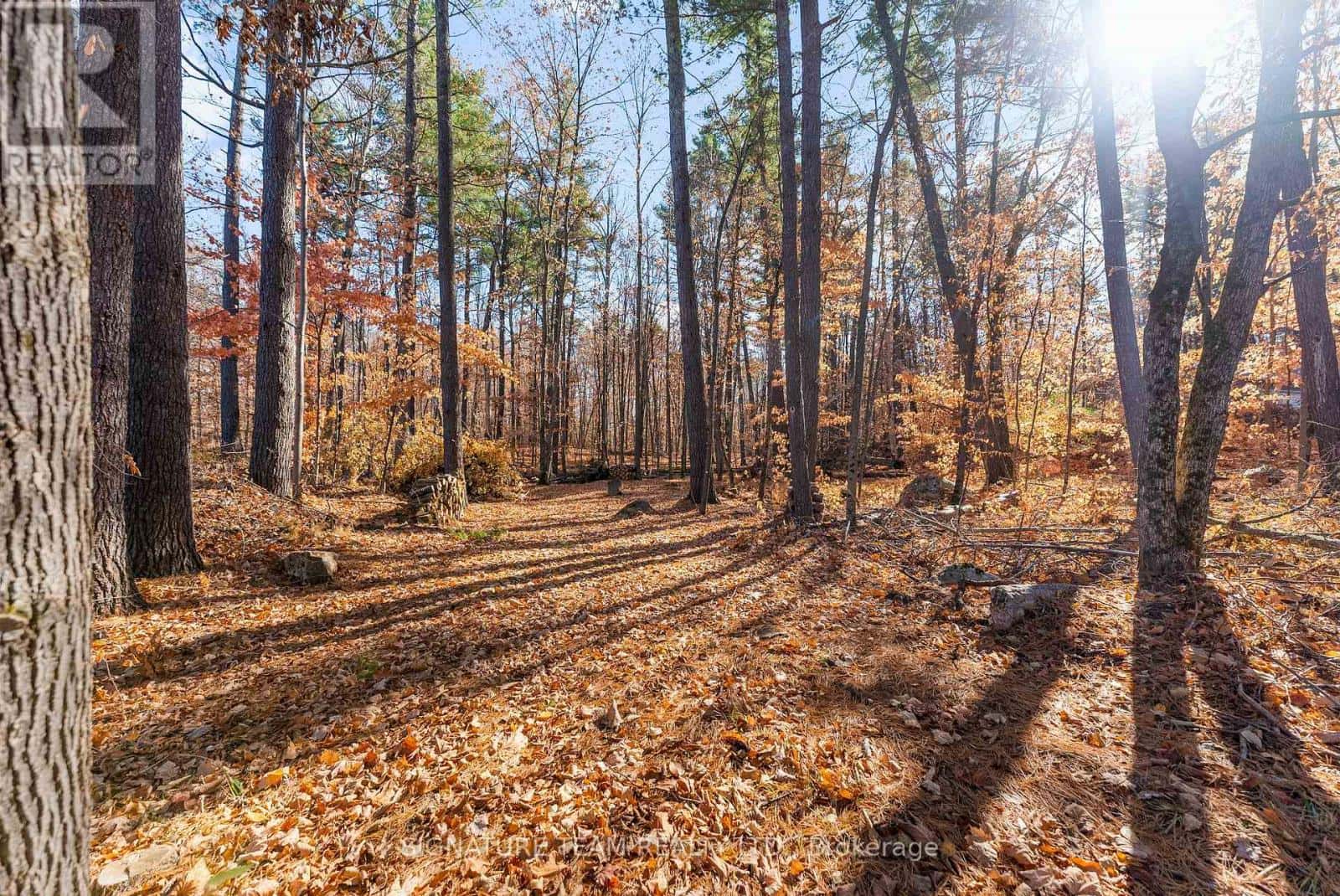 368 ROCKY POINT DRIVE — Bonnechere Valley, Ontario - Photo 4 of 22