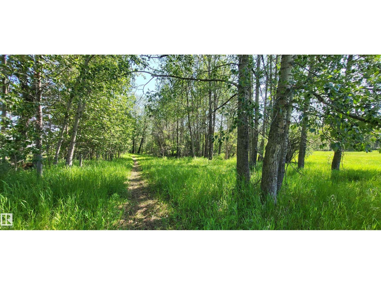 Twp 491 Range Road 73 — Rural Brazeau County, Alberta - Photo 3 of 8