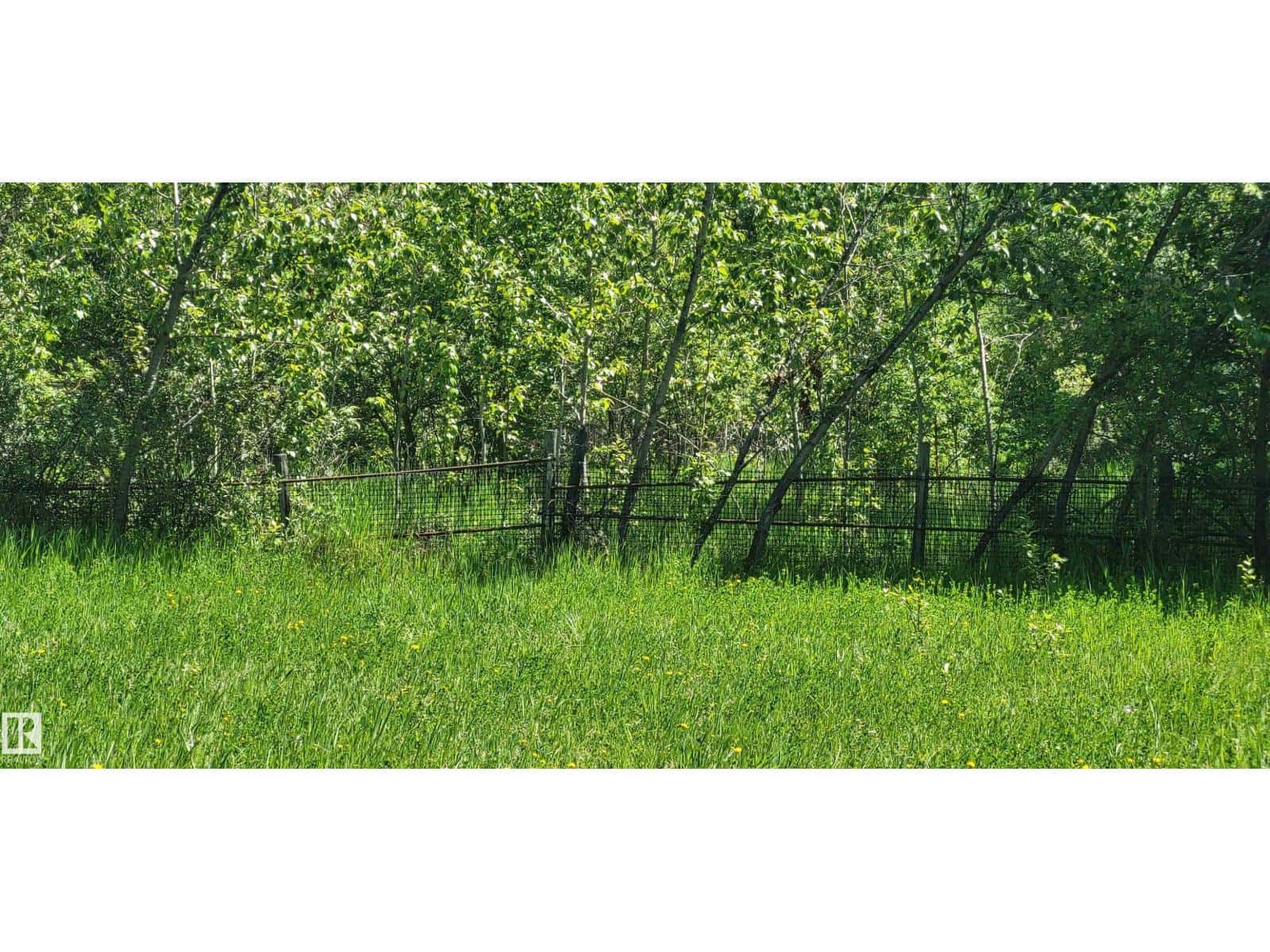 Twp 491 Range Road 73 — Rural Brazeau County, Alberta - Photo 4 of 8