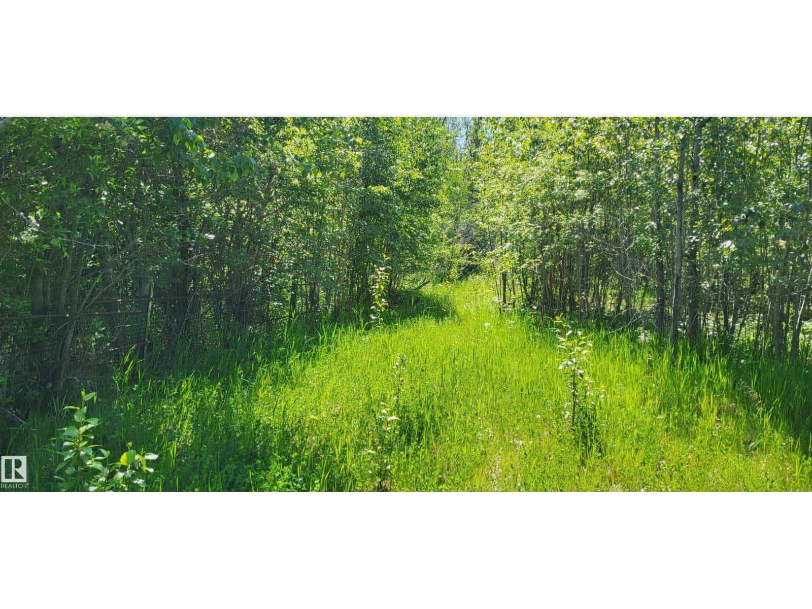 Twp 491 Range Road 73 — Rural Brazeau County, Alberta - Photo 5 of 8