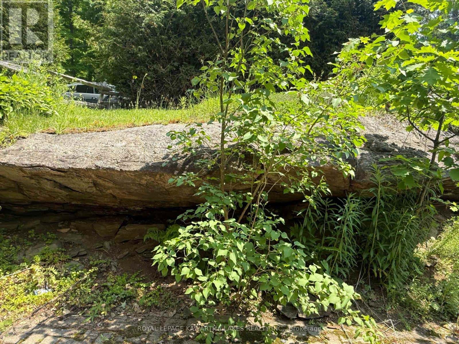 5 GOVERNMENT DOCK ROAD — Kawartha Lakes (Laxton/Digby/Longford), Ontario - Photo 2 of 5