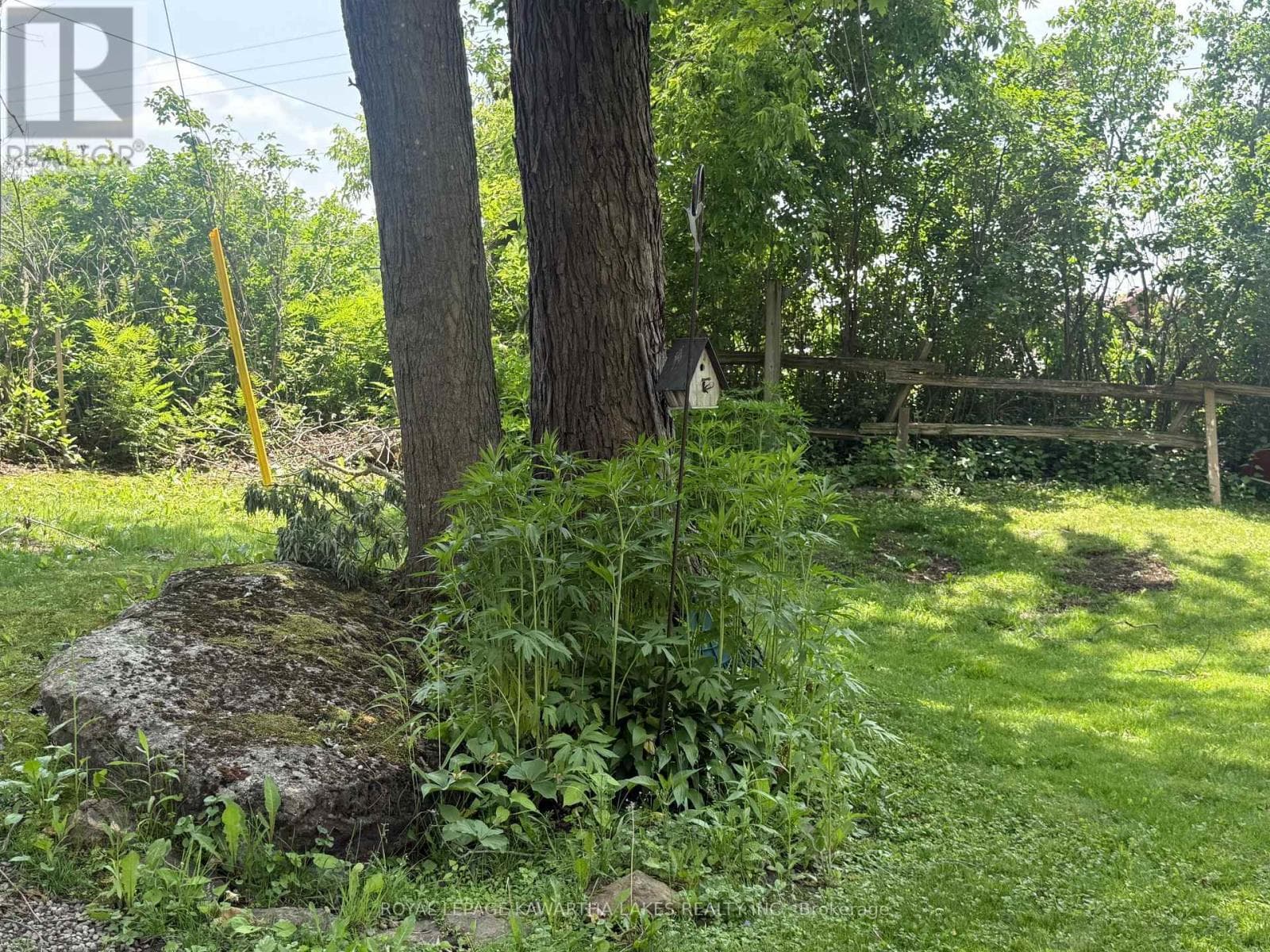 5 GOVERNMENT DOCK ROAD — Kawartha Lakes (Laxton/Digby/Longford), Ontario - Main photo