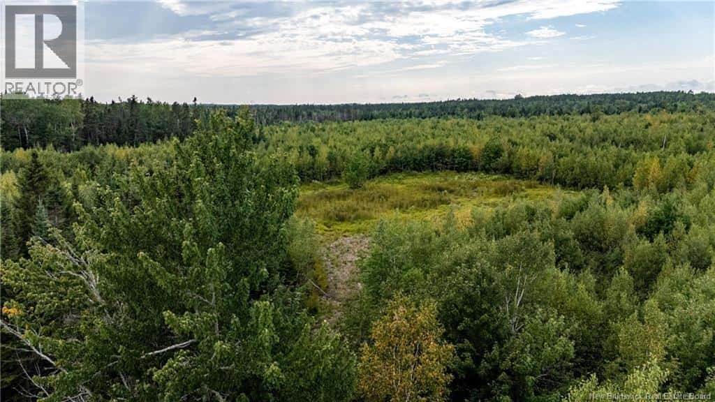 7560 Route 515 — Saint-Paul, New Brunswick - Photo 3 of 28