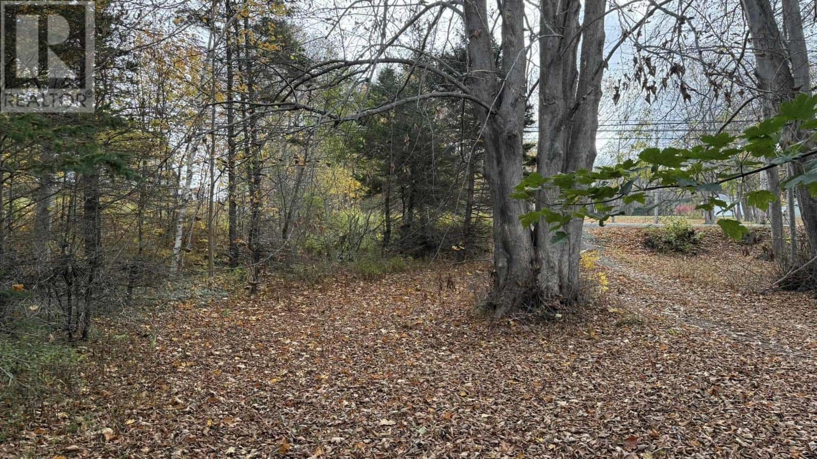 4797 Highway 1 — Weymouth, Nova Scotia - Photo 5 of 12