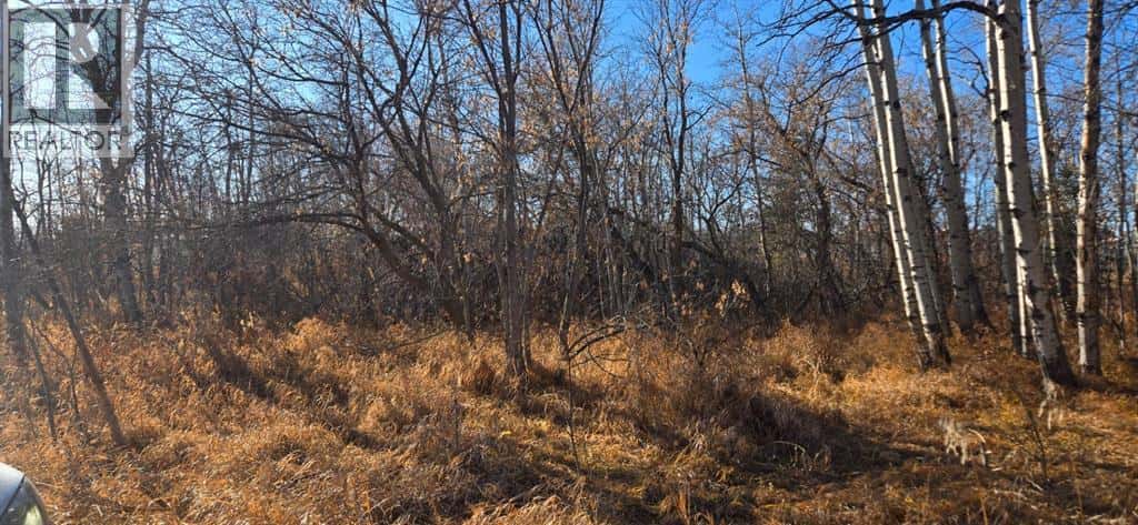 4832 46 Street — Mirror, Alberta - Photo 2 of 5