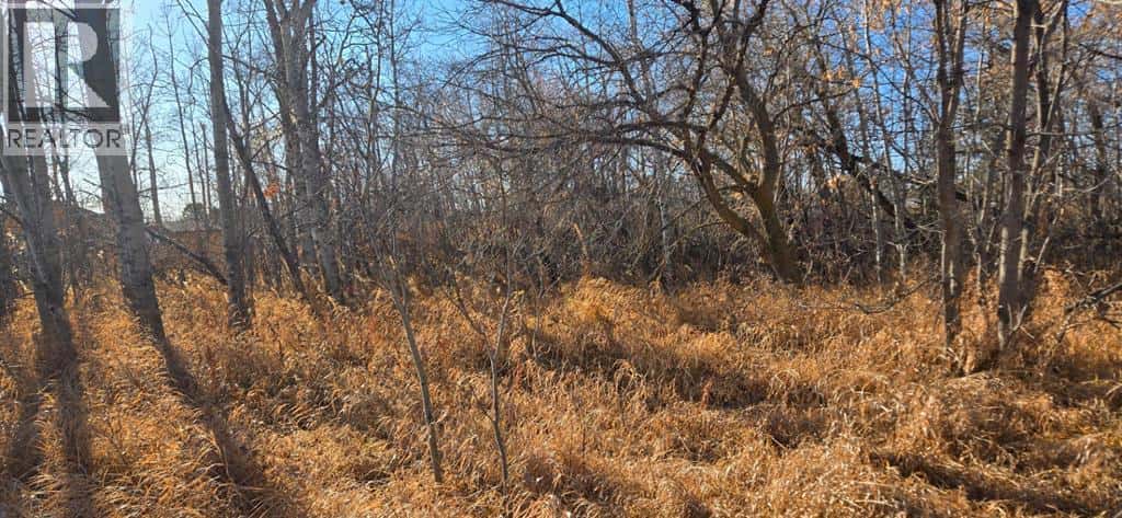 4832 46 Street — Mirror, Alberta - Photo 3 of 5