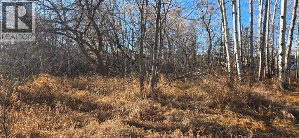 4832 46 Street — Mirror, Alberta - Photo 4 of 5