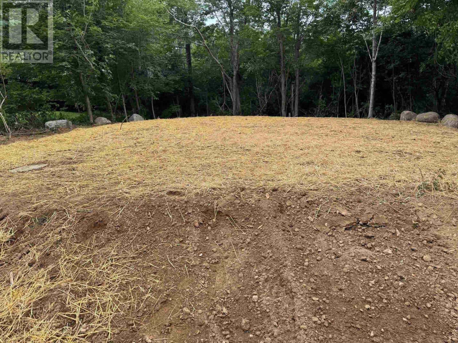 Lot 6 Highway 7 — Westphal, Nova Scotia - Photo 3 of 7