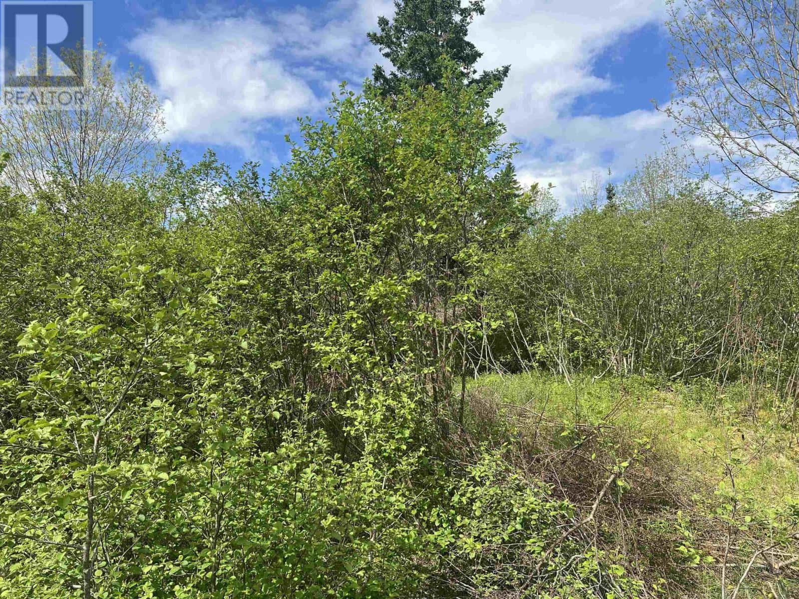 18 Jorphie Drive — East Uniacke, Nova Scotia - Photo 2 of 5