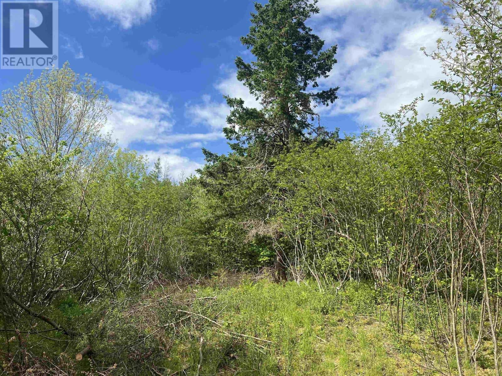 18 Jorphie Drive — East Uniacke, Nova Scotia - Photo 3 of 5