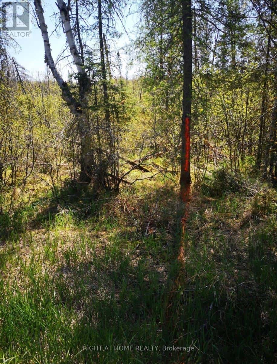 2263 MACHAR STRONG BOUNDRY ROAD — Strong, Ontario - Photo 5 of 12