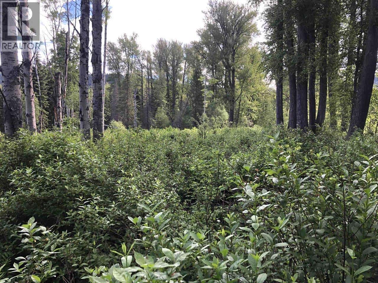 3078 BRADLEY CREEK ROAD — 100 Mile House, British Columbia - Photo 4 of 6