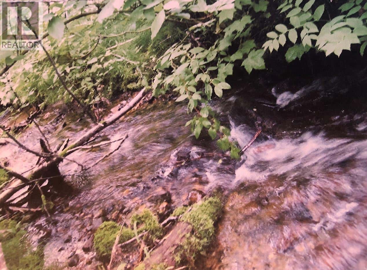 3078 BRADLEY CREEK ROAD — 100 Mile House, British Columbia - Photo 3 of 6