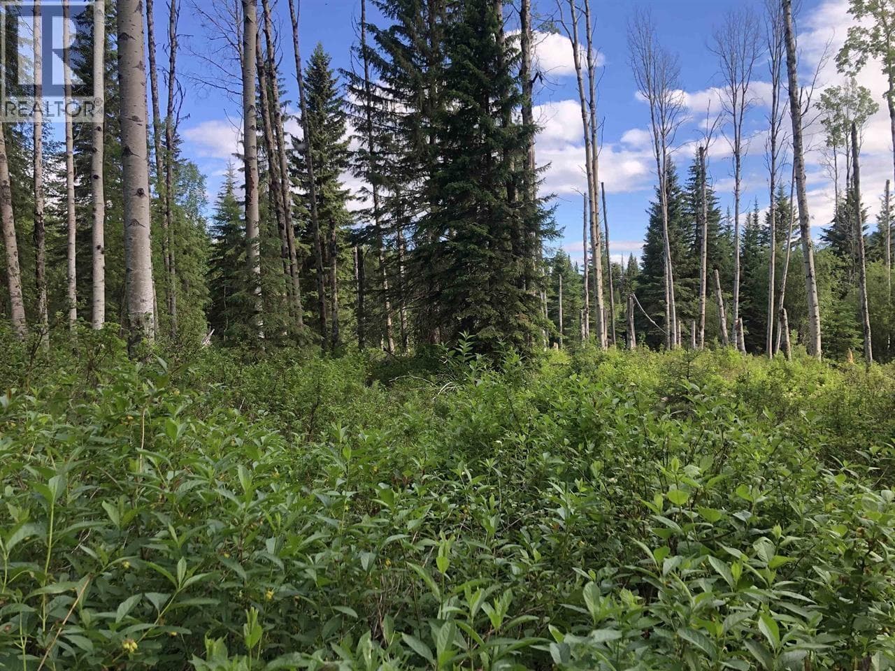 3078 BRADLEY CREEK ROAD — 100 Mile House, British Columbia - Main photo