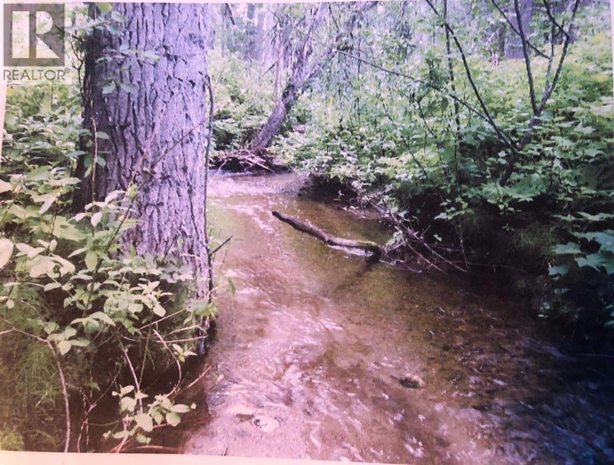 3078 BRADLEY CREEK ROAD — 100 Mile House, British Columbia - Photo 5 of 6